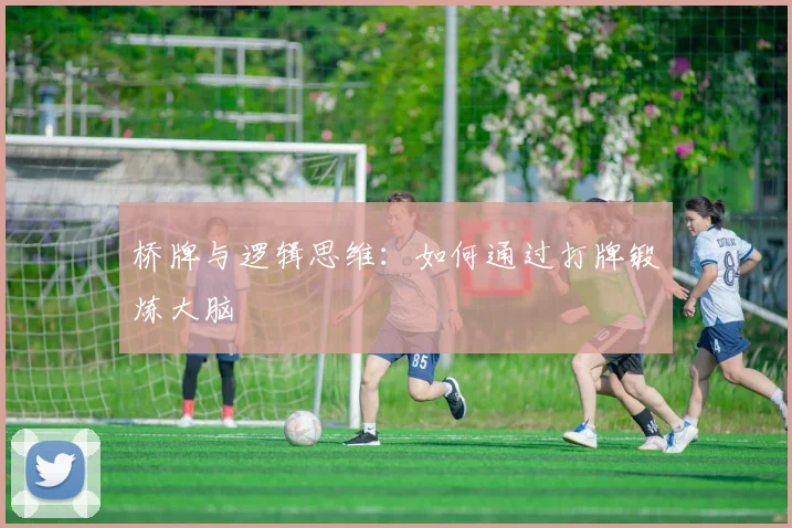 桥牌与逻辑思维：如何通过打牌锻炼大脑